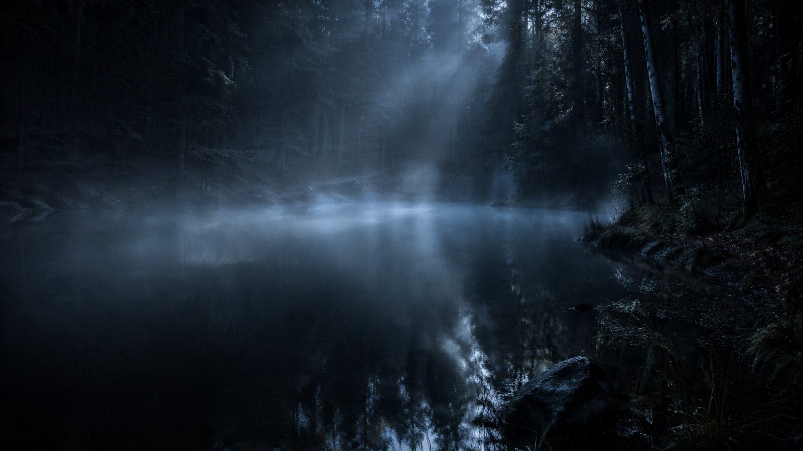 Forest lake at night